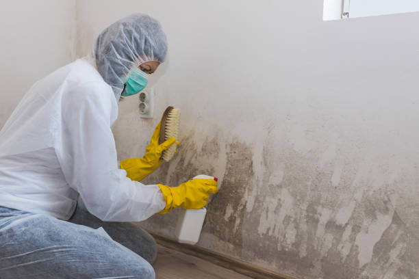 Best Mold Remediation for Healthcare Facilities  in Pablo, MT